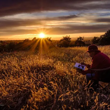 Jo's Place Carvoeiro (Lagoa)