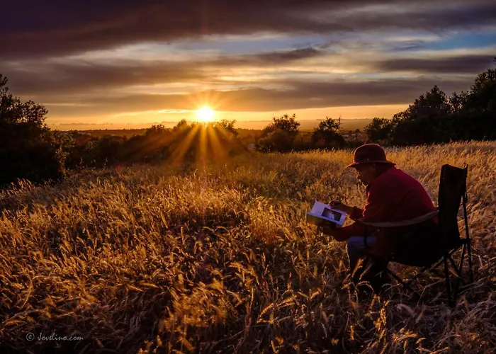 Jo's Place Carvoeiro (Lagoa)